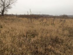 ��������� ������� �����������, �����������, ������� ������� ���� 3