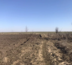 ��������� ������� �����������, ����������� ���� 4