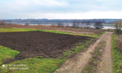 ������ ���� ��������������������� ����������� ���� 17