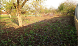 Продаж землі сільськогосподарського призначення фото 12 Продаж землі сільськогосподарського призначення фото 12