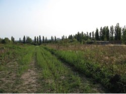 ������ �������� ������ ���� 6