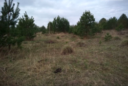 Продаж ділянки під житлову забудову фото 6 Продаж ділянки під житлову забудову фото 6