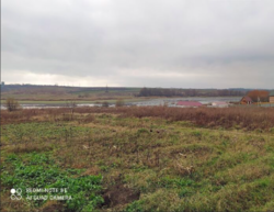 ������ ���� ��������������������� ����������� ���� 12