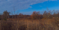 Продаж землі сільськогосподарського призначення фото 5 Продаж землі сільськогосподарського призначення фото 5