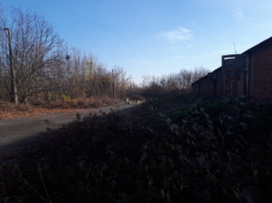 ��������� ������� �����������, �����������, ������� ���� 9