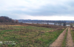 ������ ���� ��������������������� ����������� ���� 14