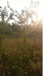 ������ �������� ������ ���� 2