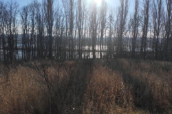 ������ ������ �� ������� �������� ���� 4