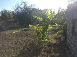 ������ �������� ������ ���� 7