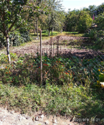 ������ ������ �� ������� �������� ���� 2