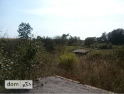 ������ �������� ������ ���� 1