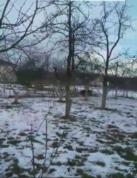 Продаж ділянки під житлову забудову фото 2 Продаж ділянки під житлову забудову фото 2