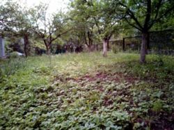 Продается участок Александровська, Хмельницкий, Хмельницкая, Юго-Западный фото 3 Продается участок Александровська, Хмельницкий, Хмельницкая, Юго-Западный фото 3