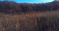 Продаж землі сільськогосподарського призначення фото 15 Продаж землі сільськогосподарського призначення фото 15