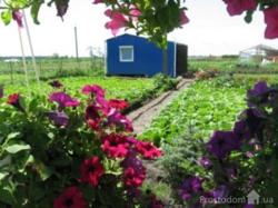 ��������� ������� �������� ���� 6