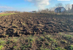 ������ ������ �� ������� �������� ���� 1