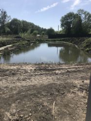 ��������� ������� �����������, �����������, �������������� ���� 10