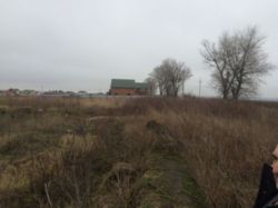 ��������� ������� �����������, �����������, ������� ������� ���� 10