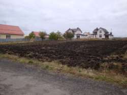 ��������� ������� ���������, �����������, �����������, ������� ���� 7