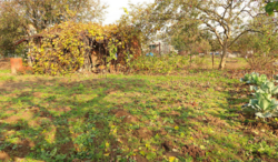 Продаж землі сільськогосподарського призначення фото 10 Продаж землі сільськогосподарського призначення фото 10