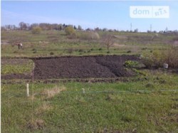 ������ �������� ������ ���� 8