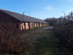 ��������� ������� �����������, �����������, ������� ���� 19