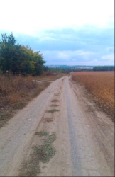 Продаж землі сільськогосподарського призначення фото 18 Продаж землі сільськогосподарського призначення фото 18