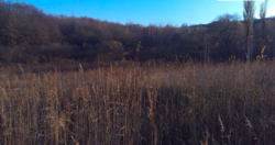 Продаж землі сільськогосподарського призначення фото 14 Продаж землі сільськогосподарського призначення фото 14