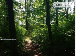 Продаж земельної ділянки фото 6 Продаж земельної ділянки фото 6