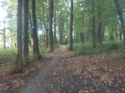 Продается участок Хмельницкая, Хмельницкий, Юго-Западный, Провулок Місячний фото 3 Продается участок Хмельницкая, Хмельницкий, Юго-Западный, Провулок Місячний фото 3