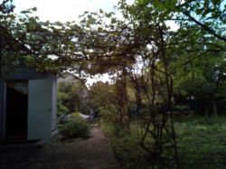 Продается участок Александровська, Хмельницкий, Хмельницкая, Юго-Западный фото 5 Продается участок Александровська, Хмельницкий, Хмельницкая, Юго-Западный фото 5