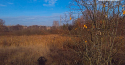 Продаж землі сільськогосподарського призначення фото 3 Продаж землі сільськогосподарського призначення фото 3