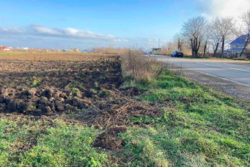 ������ ������ �� ������� �������� ���� 4