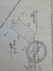 ��������� ������� ����������, �����������, ����������� ���� 3