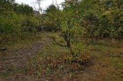 ������ �������� ������, ����� ������� ���� 8