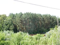 Продается участок Хмельницкий, Хмельницкая, Дендропарковый фото 19 Продается участок Хмельницкий, Хмельницкая, Дендропарковый фото 19