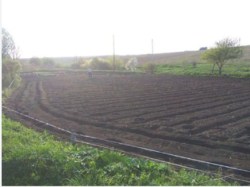 ������ �������� ������ ���� 2