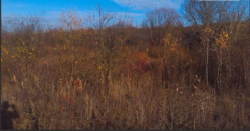 Продаж землі сільськогосподарського призначення фото 6 Продаж землі сільськогосподарського призначення фото 6