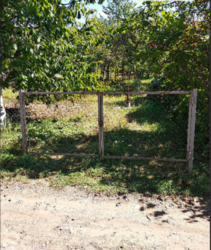 ������ ������ �� ������� �������� ���� 1