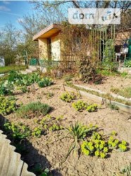 ������ �������� ������ ���� 4