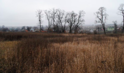 Продаж ділянки під житлову забудову фото 4 Продаж ділянки під житлову забудову фото 4