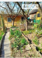 ������ �������� ������ ���� 2