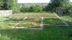 ������ �������� ������ ���� 5