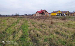 ������ ���� ��������������������� ����������� ���� 5