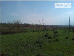 ������ �������� ������ ���� 5