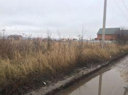 ��������� ������� �����������, �����������, ������� ������� ���� 6