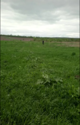 ��������� ������� �����������, �����������, ������� ���� 3