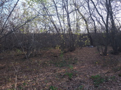 ��������� ������� �����������, �����������, ������� ���� 11