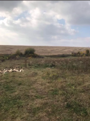 Продаж земельної ділянки фото 3 Продаж земельної ділянки фото 3