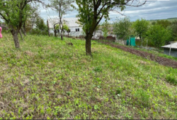 Продаж ділянки під житлову забудову фото 1 Продаж ділянки під житлову забудову фото 1